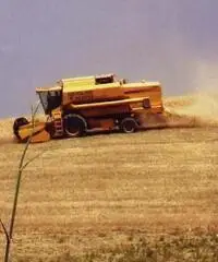 Mietitrebbia NEW HOLLAND TX68 plus Seminuova 1999