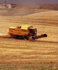 Mietitrebbia NEW HOLLAND TX68 plus Seminuova 1999