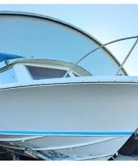 Bertram 25