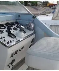 Bertram 25