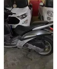 Pegeout geopolis 125/300