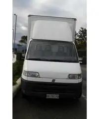 Fiat Ducato cassonato con sponda idraulica