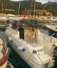 Saver 590 cabin fish