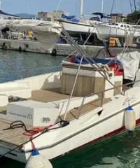 Fiart 33 SEA WALKER