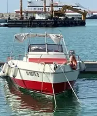 Fiart 33 SEA WALKER