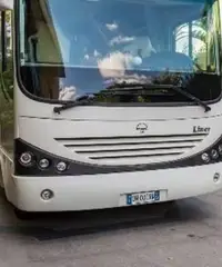 Concorde Liner 890M