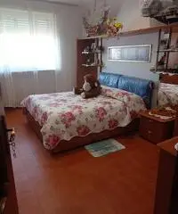 VENDO ALLOGGIO  CON  BOX AUTO