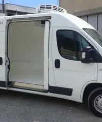 FIAT DUCATO ISOTERMICO FRIGO COIBENTATO FIAT DUCATO ISOTERMICO FRIGO COIBENTATO