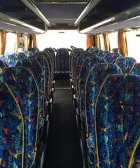 TEMSA OPALIN