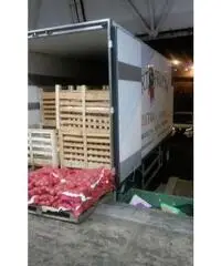 RIMORCHIO 6.20
