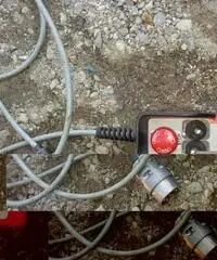 Verricello forestale