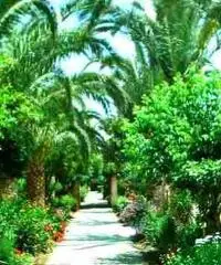 Vacanze mare Sicilia a Tindari - Oliveri (ME) fronte Eolie