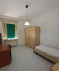 Camera singola zona ingegneria