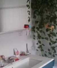 CAMERA DOPPIA-SOLO RAGAZZE-APPARTAMENTO 110 mq CAMERA DOPPIA-SOLO RAGAZZE-APPARTAMENTO 110 mq