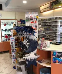 Attivita  commerciale - Ferrara