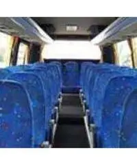 Indbus minibus Linea - Turismo p31 + 1 + 1 Daily euro 6