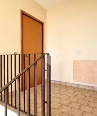 5 LOCALI A CALUSO