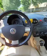 VW New Beetle