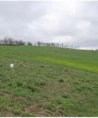 Rudere e terreno agricolo mq 5200