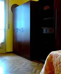 Camera singola