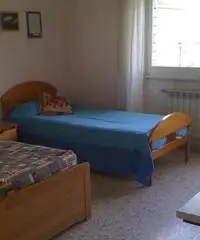 Singola x ragazzo pref. lav. fronte metro b monti tiburt Singola x ragazzo pref. lav. fronte metro b monti tiburt