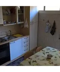Camera singola