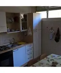 Camera singola