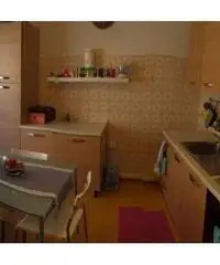 Posto letto in doppia adiac staz tiburtina