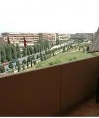 Appartamento di 2 locali in Affitto - zona Acilia Appartamento di 2 locali in Affitto - zona Acilia