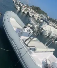 Predator 599 Predator 599