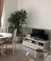 Trilocale ristrutturato