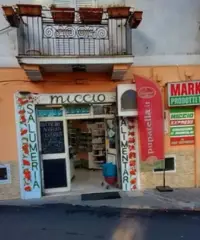 Ceditura negozio alimentari-salumeria Ceditura negozio alimentari-salumeria