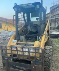 Minipala caterpillar