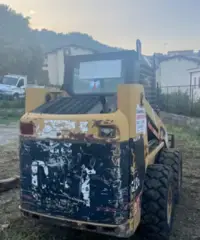 Minipala caterpillar