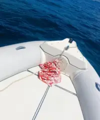 Gommone marlin 20