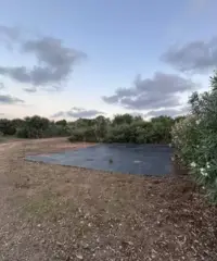 Terreno fronte mare Terreno fronte mare