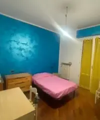 Stanza singola libera da subito - langhirano (pr) Stanza singola libera da subito - langhirano (pr)