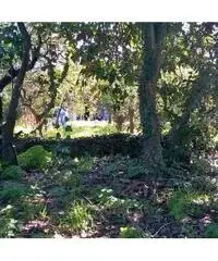 Acireale: Terreno Altro