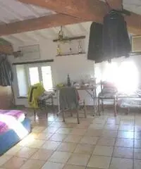 Appartamento - Lucca