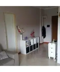 Appartamento in zona centro a Pomezia 30mq
