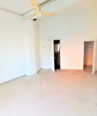 Pineta sacchetti - locale commerciale