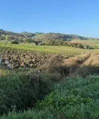 Terreno edificabile per villa mono/ bifamiliare a Tordenaso