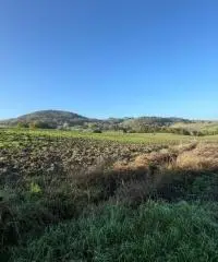 Terreno edificabile per villa mono/ bifamiliare a Tordenaso