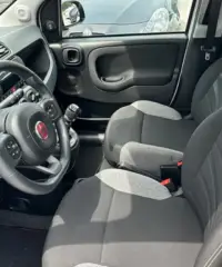 Fiat Panda 1.0 HYBRID 5 POSTI - 2022