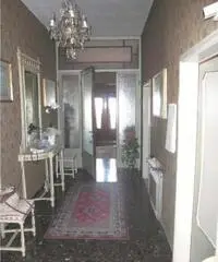 Capannori Vendita Villa 300mq
