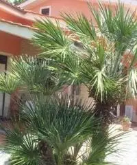 Villa a Altopascio 185mq Villa a Altopascio 185mq