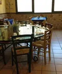 Ristorante pizzeria Ristorante pizzeria