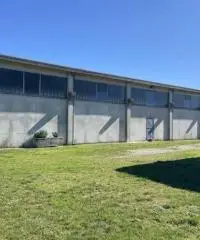 Terreno  Agricolo di 8 ha con pozzo e stalla a Sissa Trecasali