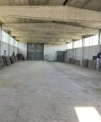 Terreno  Agricolo di 8 ha con pozzo e stalla a Sissa Trecasali