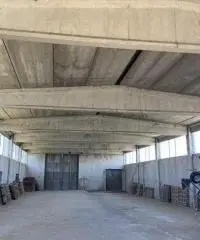 Terreno  Agricolo di 8 ha con pozzo e stalla a Sissa Trecasali